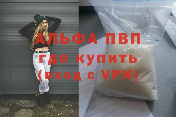 индика Бородино