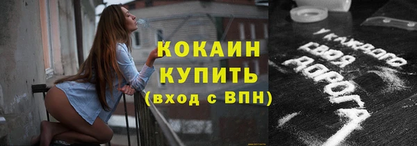 индика Бородино