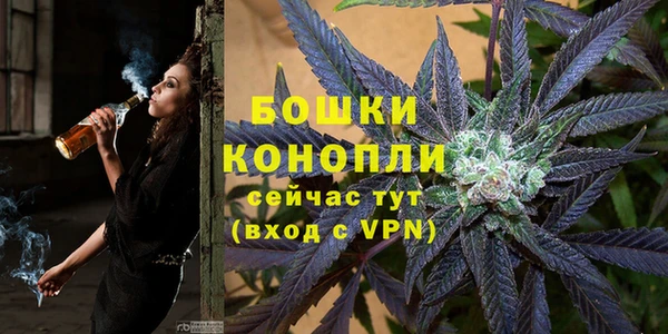 индика Бородино