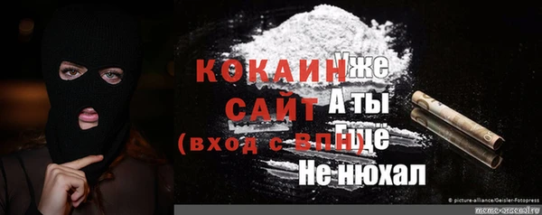 хмурый Тайга