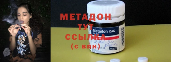 индика Бородино