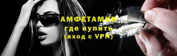 прущие грибы Сясьстрой