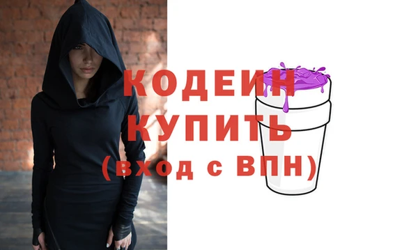 индика Бородино