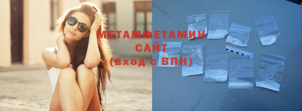 индика Бородино