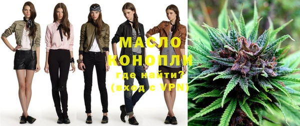 прущие грибы Сясьстрой