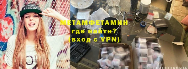 индика Бородино