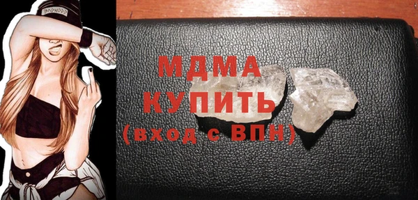 индика Бородино
