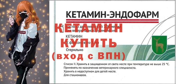 индика Бородино