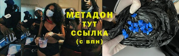 индика Бородино