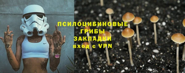 индика Бородино